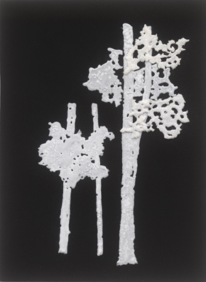 ללא כותרת, 2012, אבקת סודה לשתיה, דבק, טפט קטיפה שחור,
23 x 31 ס"מ