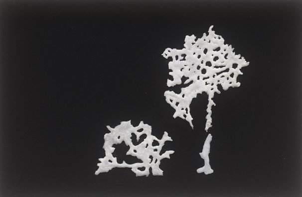 ללא כותרת, 2012, אבקת סודה לשתיה, דבק, טפט קטיפה שחור,
31.5 x 20 ס"מ