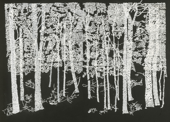 ללא כותרת, 2010, MDF, עץ לבוד, אבקת סודה לשתיה, דבק, צבע, 160 x 120