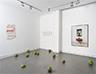 Installation view, March-May, 2107